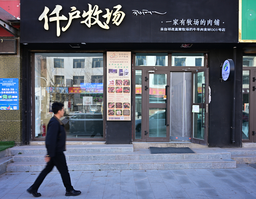 祁連山下的“新牧歌”