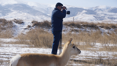 &ldquo;1個(gè)&rdquo;和&ldquo;66個(gè)&rdquo;：青海湖畔特別的&ldquo;團(tuán)圓&rdquo;